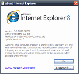 InternetExplorer8Info